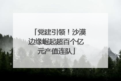 党建引领！沙漠边缘崛起超百个亿元产值连队