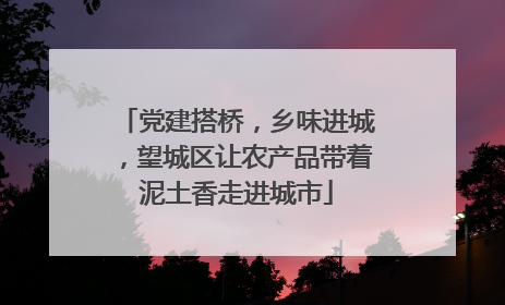 党建搭桥，乡味进城，望城区让农产品带着泥土香走进城市