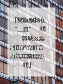 党旗飘扬在“三夏”一线——宛城区溧河街道党群合力筑牢禁烧防线