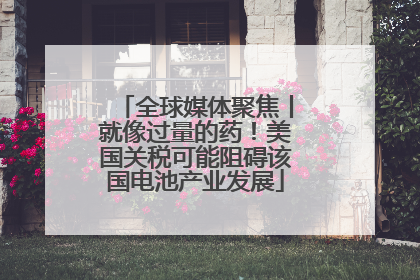 全球媒体聚焦丨就像过量的药！美国关税可能阻碍该国电池产业发展