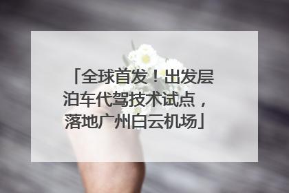 全球首发！出发层泊车代驾技术试点，落地广州白云机场