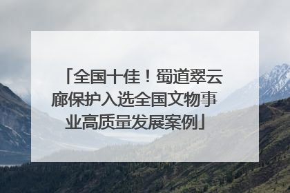 全国十佳！蜀道翠云廊保护入选全国文物事业高质量发展案例