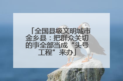 全国县级文明城市金乡县：把群众关切的事全部当成“头号工程”来办