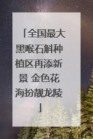 全国最大黑喉石斛种植区再添新景 金色花海扮靓龙陵