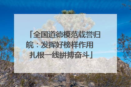 全国道德模范载誉归皖：发挥好榜样作用 扎根一线拼搏奋斗