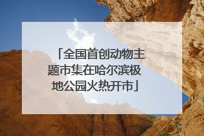全国首创动物主题市集在哈尔滨极地公园火热开市