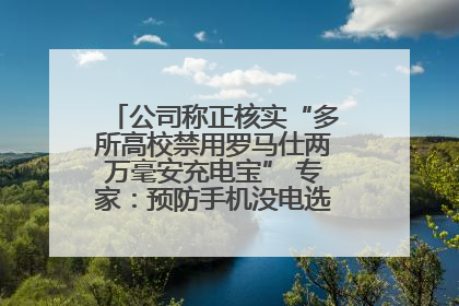公司称正核实“多所高校禁用罗马仕两万毫安充电宝” 专家：预防手机没电选中等体积产品即可
