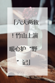 六天两救！竹山上演暖心护“野”记