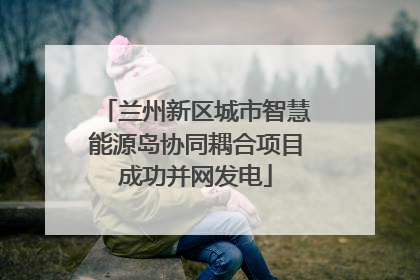 兰州新区城市智慧能源岛协同耦合项目成功并网发电