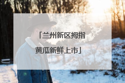 兰州新区拇指黄瓜新鲜上市