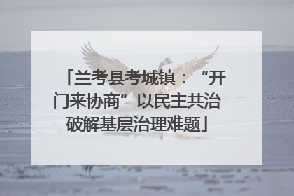 兰考县考城镇：“开门来协商”以民主共治破解基层治理难题