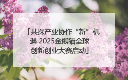 共探产业协作“新”机遇 2025金熊猫全球创新创业大赛启动