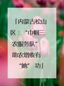 内蒙古松山区：“巾帼三农服务队” 助农增收有 “她” 功