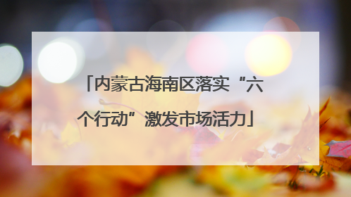 内蒙古海南区落实“六个行动”激发市场活力