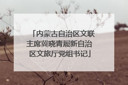 内蒙古自治区文联主席冀晓青履新自治区文旅厅党组书记