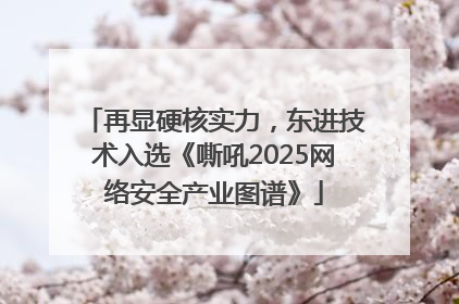 再显硬核实力，东进技术入选《嘶吼2025网络安全产业图谱》