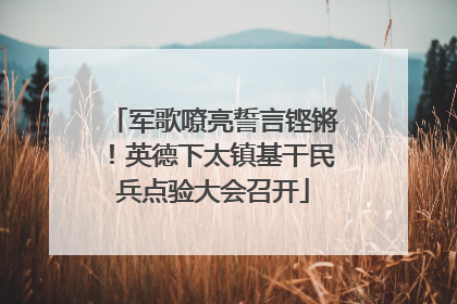 军歌嘹亮誓言铿锵！英德下太镇基干民兵点验大会召开
