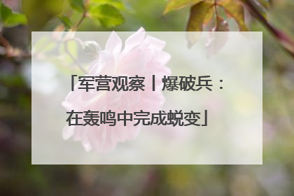 军营观察丨爆破兵：在轰鸣中完成蜕变