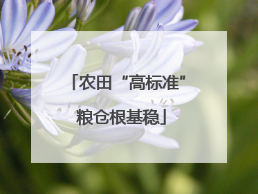 农田“高标准” 粮仓根基稳