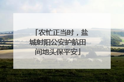 农忙正当时，盐城射阳公安护航田间地头保平安