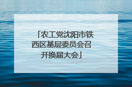 农工党沈阳市铁西区基层委员会召开换届大会