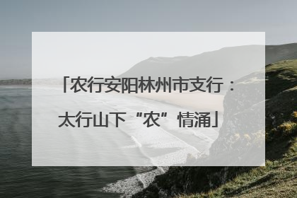 农行安阳林州市支行：太行山下“农”情涌