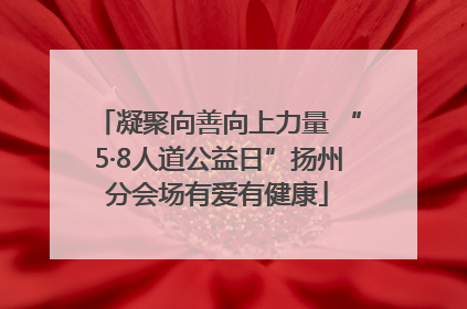 凝聚向善向上力量 “5·8人道公益日”扬州分会场有爱有健康