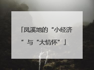 凤溪地的“小经济”与“大情怀”