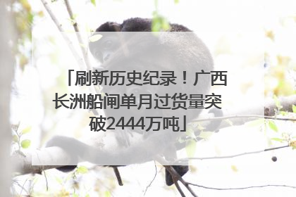刷新历史纪录！广西长洲船闸单月过货量突破2444万吨
