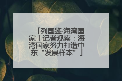 列国鉴·海湾国家丨记者观察：海湾国家努力打造中东“发展样本”
