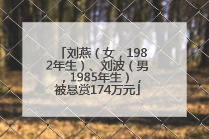 刘燕（女，1982年生）、刘波（男，1985年生），被悬赏174万元