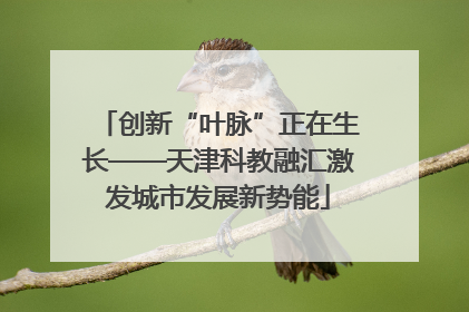 创新“叶脉”正在生长——天津科教融汇激发城市发展新势能