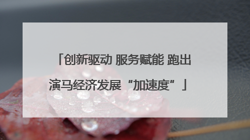创新驱动 服务赋能 跑出演马经济发展“加速度”