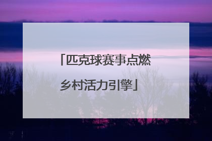匹克球赛事点燃乡村活力引擎