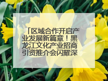 区域合作开启产业发展新篇章！黑龙江文化产业招商引资推介会闪耀深圳文博会