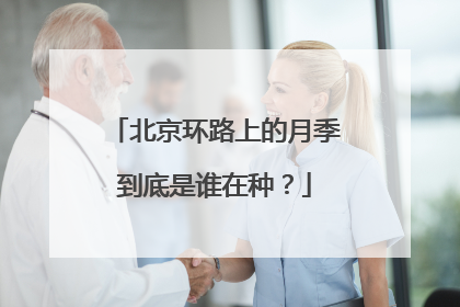 北京环路上的月季到底是谁在种？
