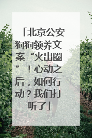 北京公安狗狗领养文案“火出圈”！心动之后，如何行动？我们打听了