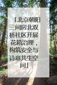北京朝阳三间房北双桥社区开展花箱治理，构筑安全与诗意共生空间