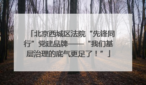北京西城区法院“先锋同行”党建品牌——“我们基层治理的底气更足了！”