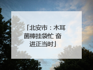 北安市：木耳菌棒挂袋忙 奋进正当时