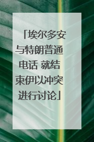 埃尔多安与特朗普通电话 就结束伊以冲突进行讨论