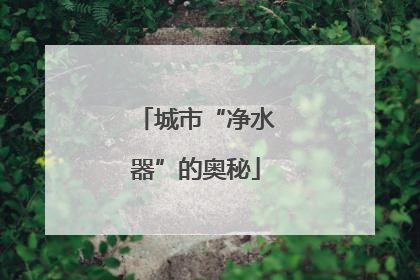 城市“净水器”的奥秘