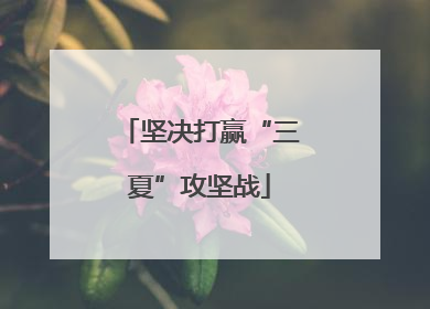 坚决打赢“三夏”攻坚战