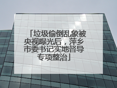 垃圾偷倒乱象被央视曝光后，萍乡市委书记实地督导专项整治