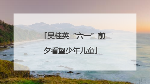 吴桂英“六一”前夕看望少年儿童