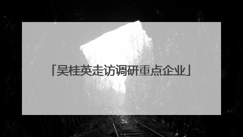 吴桂英走访调研重点企业