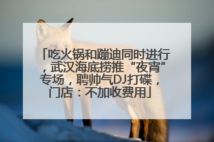 吃火锅和蹦迪同时进行，武汉海底捞推“夜宵”专场，聘帅气DJ打碟，门店：不加收费用