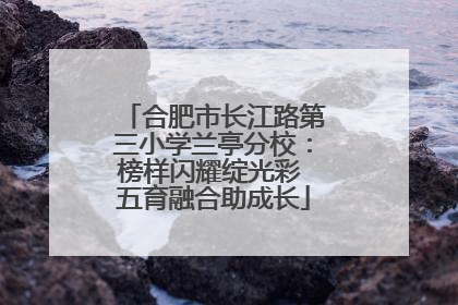 合肥市长江路第三小学兰亭分校：榜样闪耀绽光彩 五育融合助成长