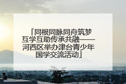 同根同脉同舟筑梦 互学互助传承共融——河西区举办津台青少年国学交流活动