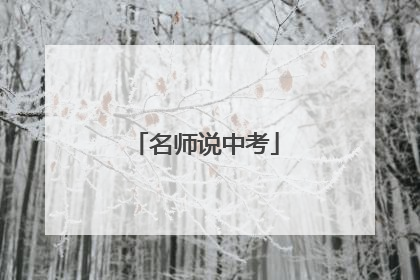 名师说中考